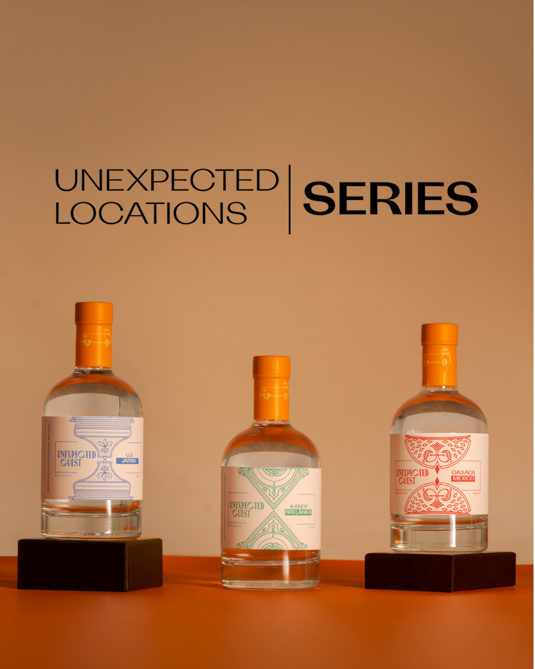 Unexpected Locations Gin Bundle
